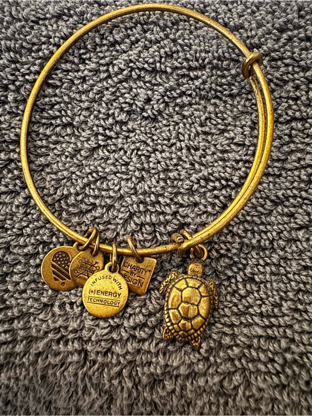 Alex and Ani Gold Turtle Charm Expandable Bracelet